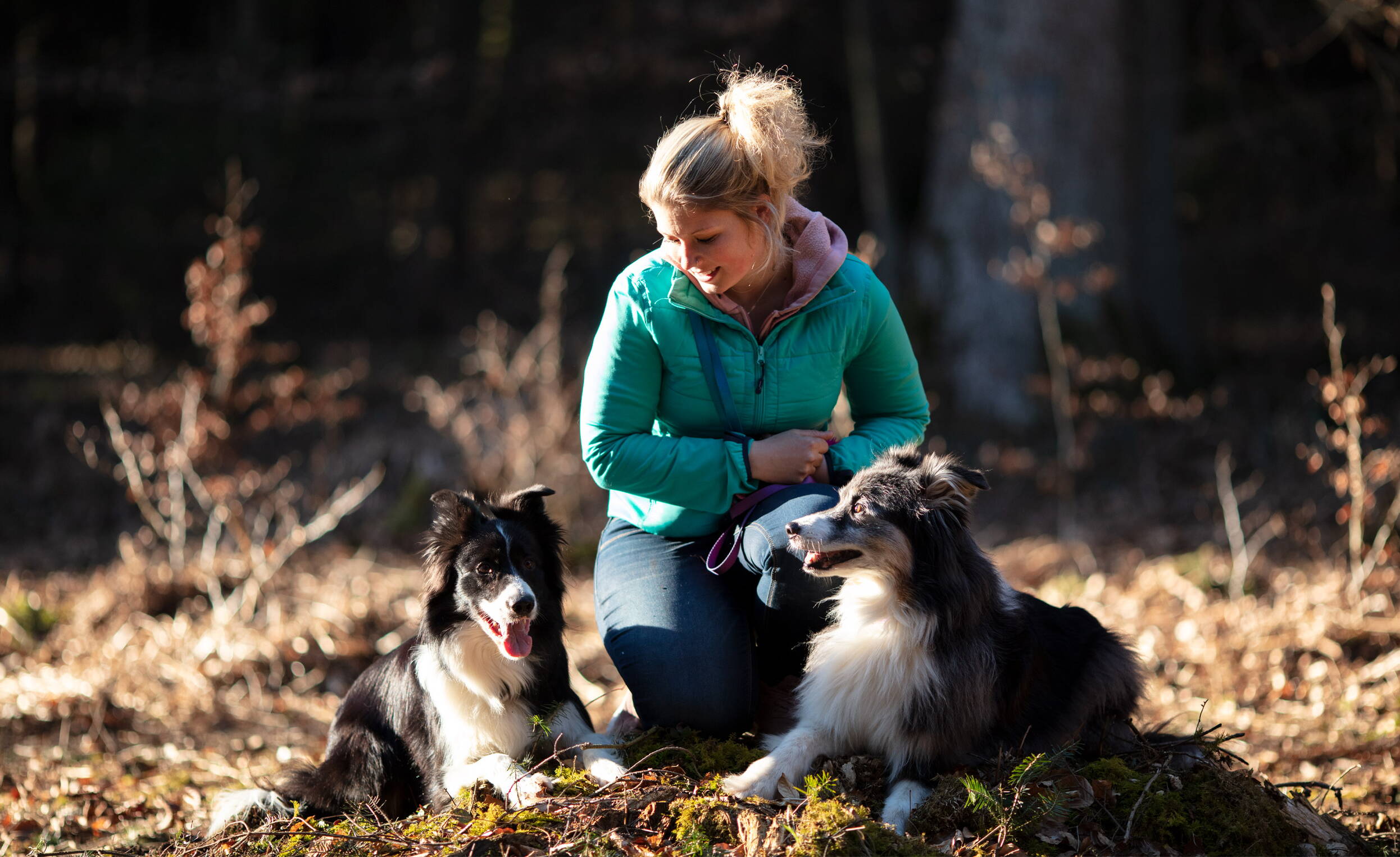 wanja-im-wald-mit-beiden-border-collie-hunden.jpg